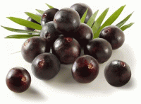 https://www.tradekey.com/product_view/Acai-Berries-In-Powder-Another-Delicious-8737255.html