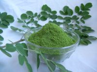 Organic moringa leaf powder
