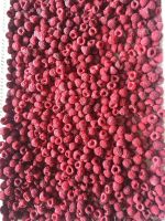 2016 New Crop IQF Raspberry Whole/Crumble