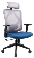 ergonomic office chair in mesh