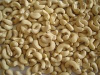 Raw cashew nuts/ Cashew Kernels/ WW320/450/240/SW/BW/LBW/LP/SP