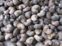 Raw Cashew Nuts