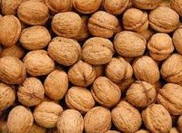 organic Walnuts from Ukraine