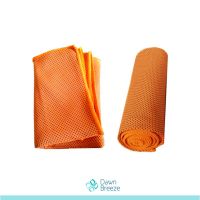 Sport Cooling Towel