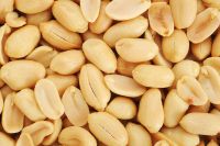 Peanuts Available For Sale And Export