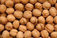 Best Walnuts Available For Sale And Export