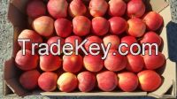 Red fresh apples
