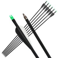 Fiberglass Arrow, Spine 500, Replace Arrowhead, Nock Proof, For Hunting Compound Bow /recurve Bow Arrow