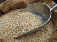 White Quinoa Grain - 40Kg Bulk