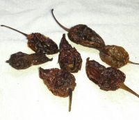 bhut jolokia