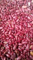Red kidney beans
