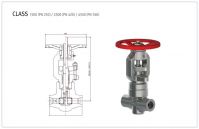 Forged Steel Bellows Seal Globe Valve