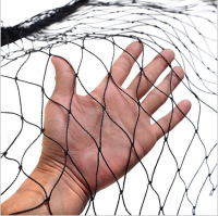 Black Knotted Anti-bird Net/hdpe+uv Bird Netting