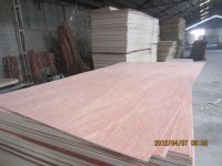 furniture usage bintangor plywood price from factory