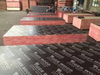 9mm to 18mm film faced plywood with logo