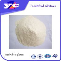 Vital Wheat Gluten High Quality Food/Feed Grade