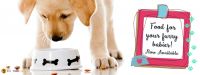 PetClubIndia Online Dog Toys & Accessories at Reasonable Price