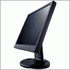 19inch Medical Diagnostic Monochrome LCD Display Monitor (RadiPlay)