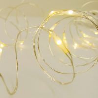 20 Bulb Warm White Decoration String Light Cable Lamp Battery