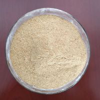 Brewer‘s’Yeast powder for chicken feed
