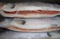 Frozen Salmon