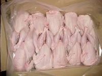  GRADE A HALAL CERTIFIED FROZEN WHOLE CHICKEN READY FOR SHIPMENT 