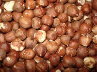 High Quality Natural Hazelnut Market Price 2016