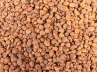 Tiger Nuts, Tigers, Bait, Baits, Tigernuts, Tiger Nut