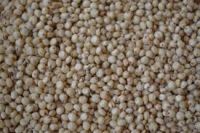 Red And Sorghum White  For Sale / Sorghum Flour White / Sorghum grains