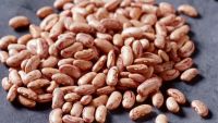 Best Dry Pinto Beans or Light Speckled Kidney Beans(Long Shape) Size 220-240 pcs