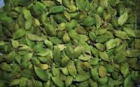 green cardamom size  for export .