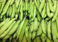  Fresh broad beans For seasoning 