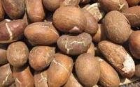  Bitter Kola / Garcinia Nut  for sale