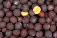  Best Quality Black Mustard Seeds 