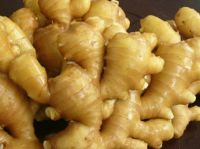 Fresh Ginger from Nigeria available in huge stock