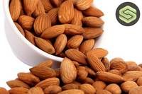 Clean and Best Quality Almond Nuts ready for supply with Discount