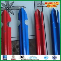 color painted Palisade fence made in china