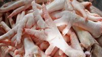 FROZEN CHICKEN FEET