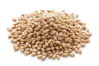 BARLEY