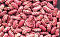 Red Speckled Beans, Pinto Beans, Haricot Beans, Chick Peas, Red Lentils, Whole lentils, Split Lentils, dried Lentils, Navy Beans, Black eyed peas, cow peas, soya beans, red kidney beans, adzuki beans