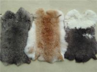 RABBIT  SKINS