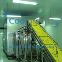 Fluidized Tunnel Freezer for Vegetables Fruits Shrimps Seafood