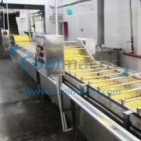 IQF Frozen Line for sweet corn and vegetables