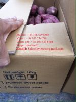 https://fr.tradekey.com/product_view/Export-Fresh-Sweet-Potatoes-Sweet-Potato-Good-Price-And-Good-Quality-8767657.html