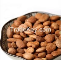 Raw Sweet Apricot Kernel Almond