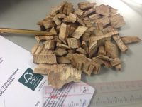 Rubber Wood Chip for Paper Pulp, MDF or Fuel