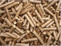 Wood Pellet for Power Plant or Industrial Boiler from Vietnam