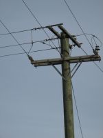 UTILITY POLES