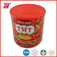 Healthy Canned Tomato Paste of Tmt Brand with Low Price