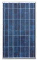 250W Solar Panels